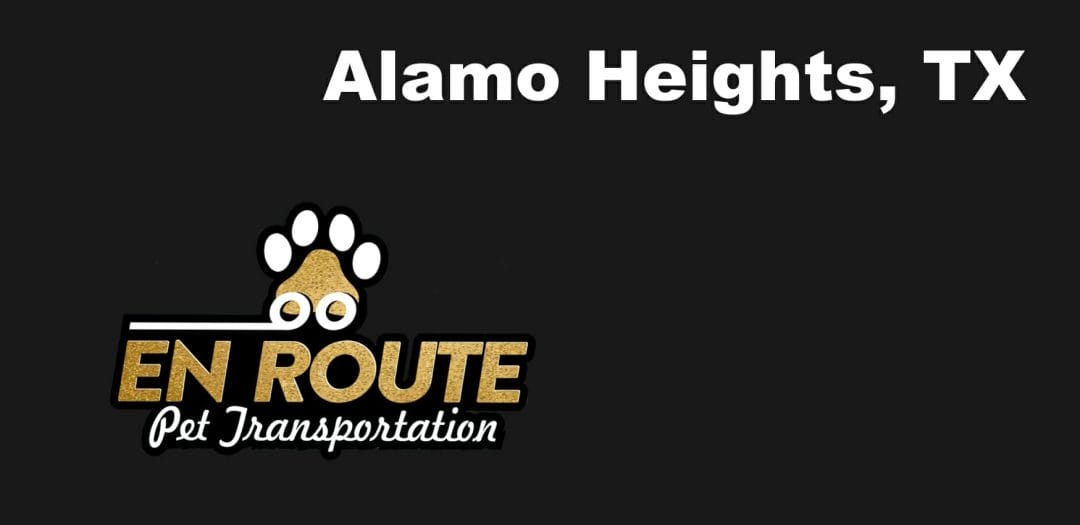 Best private pet ground transportation Alamo Heights, TX.