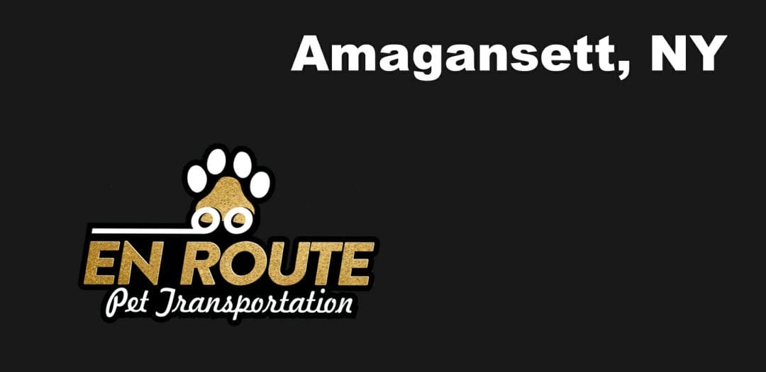 Best VIP private luxury pet ground transportation Amagansett, NY.