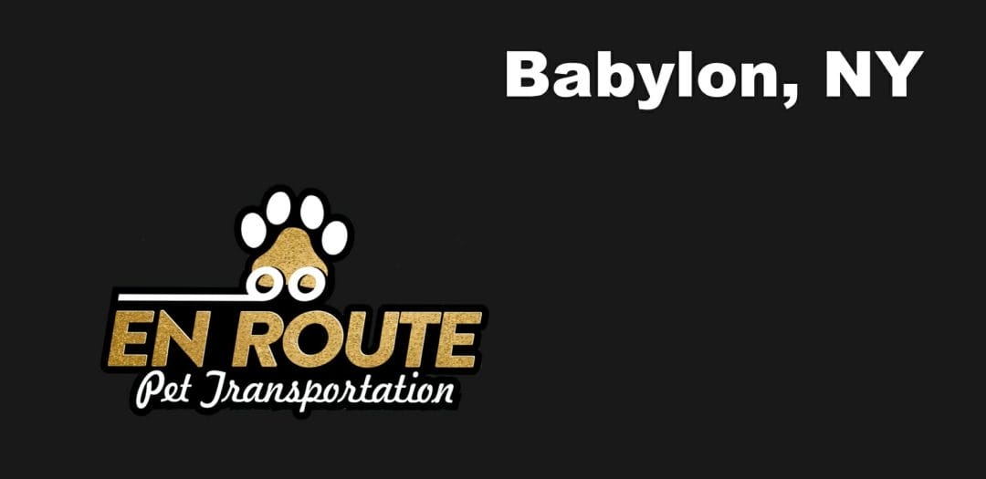 Best VIP private luxury pet ground transportation Babylon, NY.