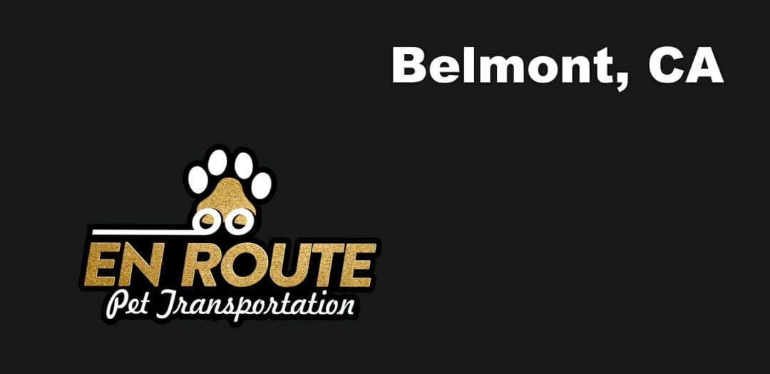 Best VIP private luxury pet ground transportation Belmont, California.