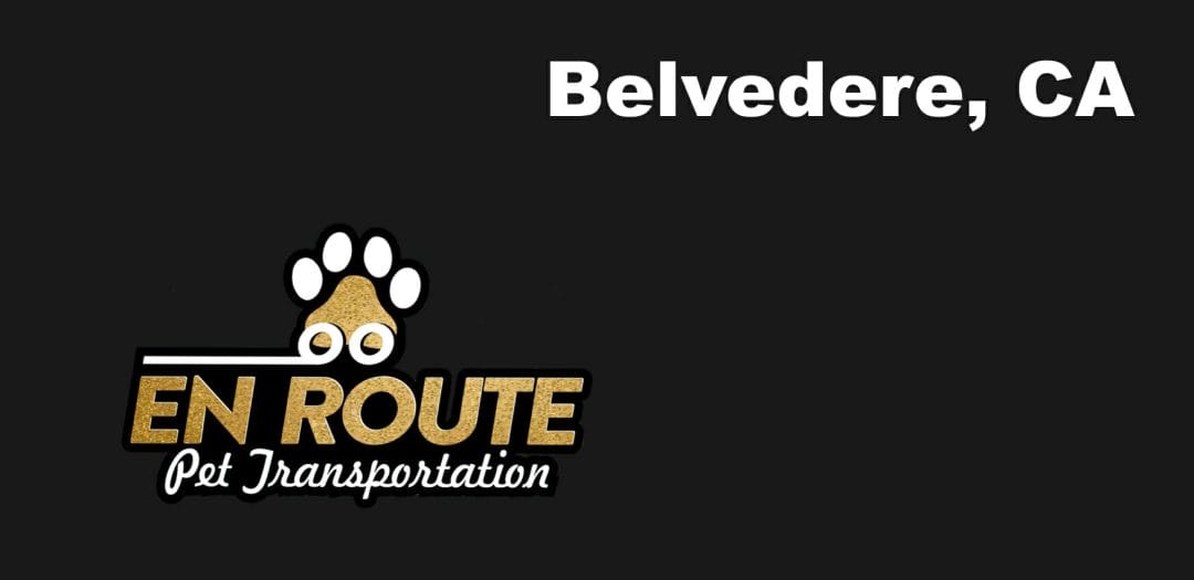 Best VIP private luxury pet ground transportation Belvedere, California.