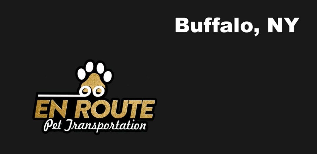 Best VIP private luxury pet ground transportation Buffalo, NY.