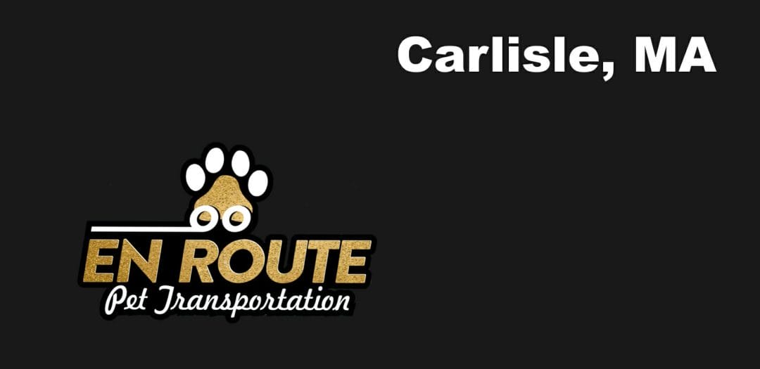 Best VIP private luxury pet ground transportation Carlisle, MA.
