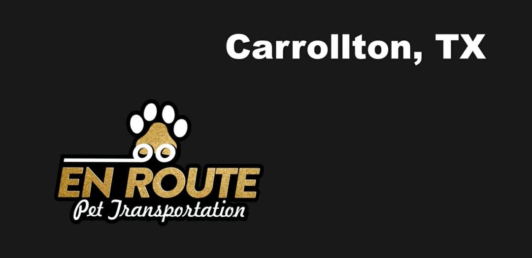 Best private pet ground transportation Carrollton, TX.