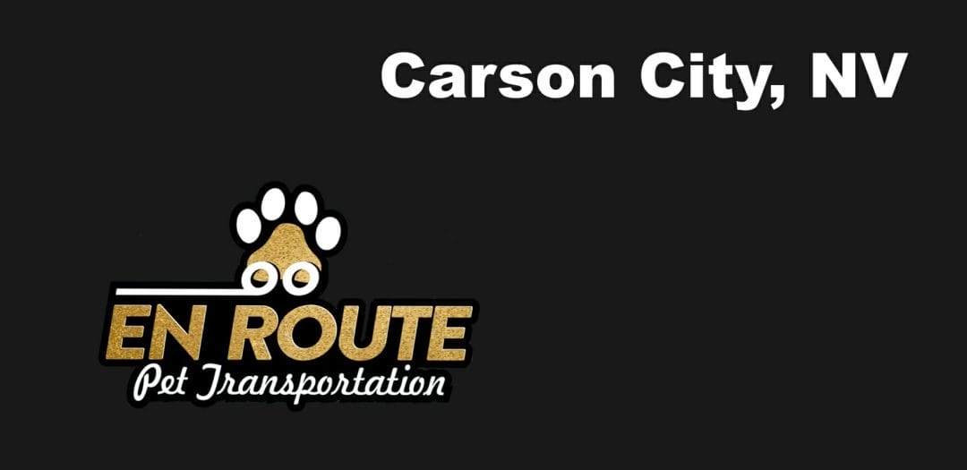 Best private pet ground transportation Carson City, NV.