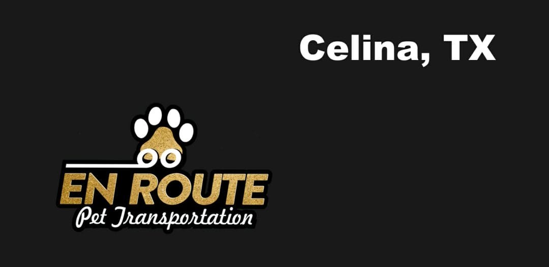 Best private pet ground transportation Celina, TX.