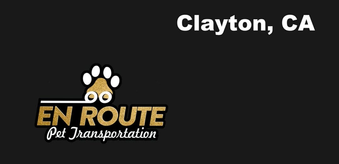 Best VIP private luxury pet ground transportation Clayton, California.