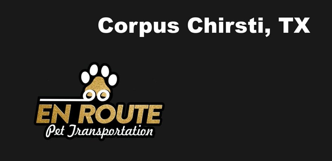 Best private pet ground transportation Corpus Christi, TX.