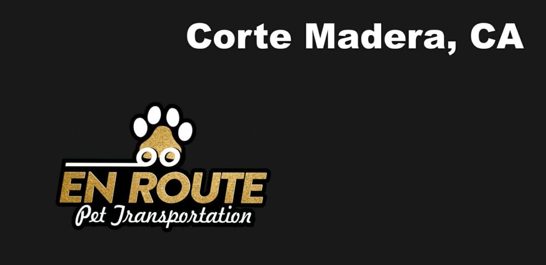 Best VIP private luxury pet ground transportation Corte Madera, California.