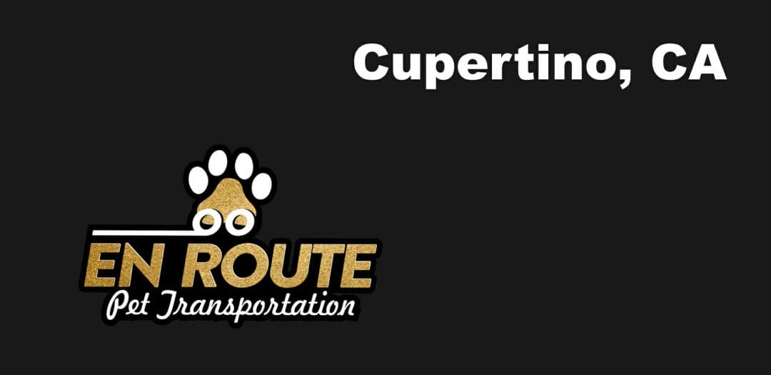 Best VIP private luxury pet ground transportation Cupertino, California.