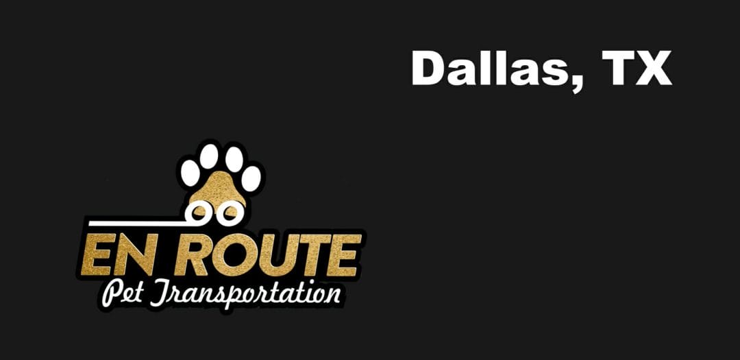 Best private pet ground transportation Dallas, TX.