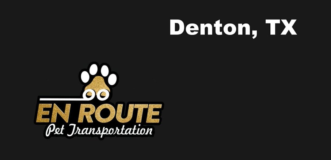 Best private pet ground transportation Denton, TX.