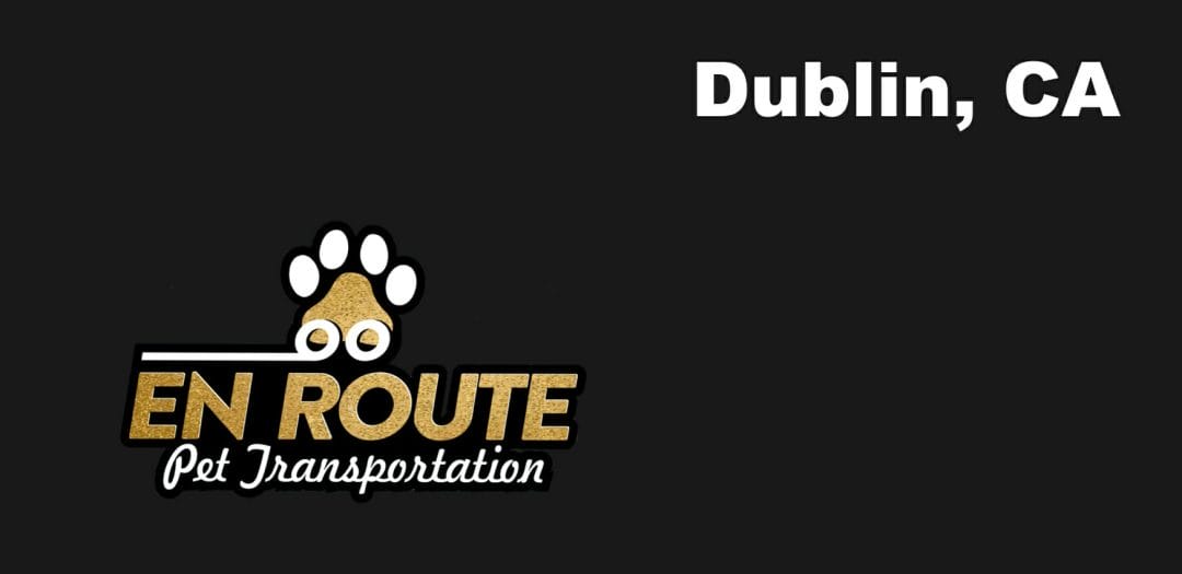Best VIP private luxury pet ground transportation Dublin, California.