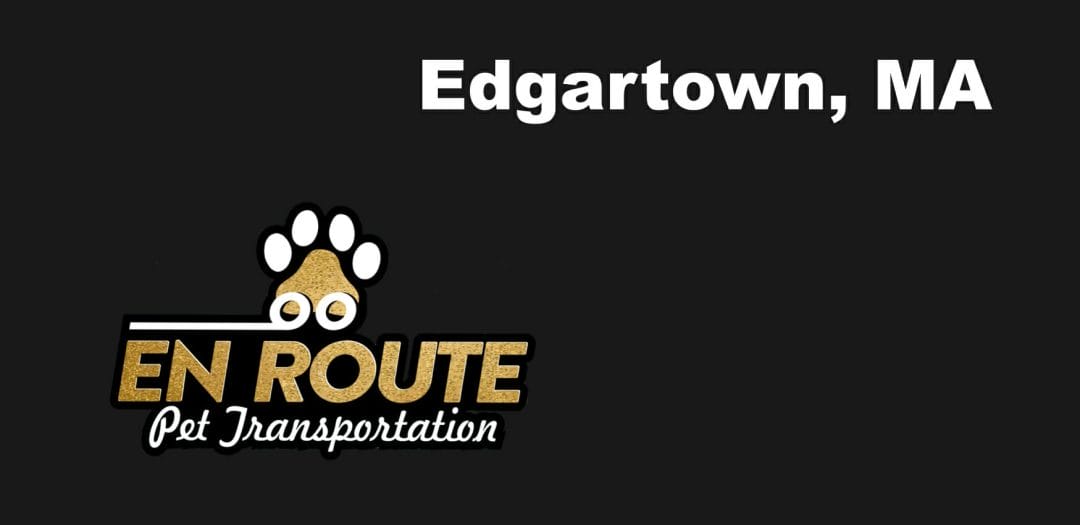 Best VIP private luxury pet ground transportation Edgartown, MA.