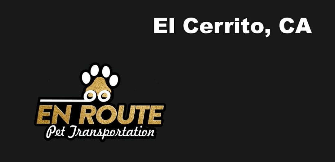 Best VIP private luxury pet ground transportation El Cerrito, California.