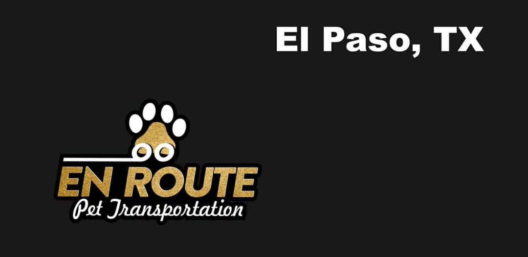 Best private pet ground transportation El Paso, TX.