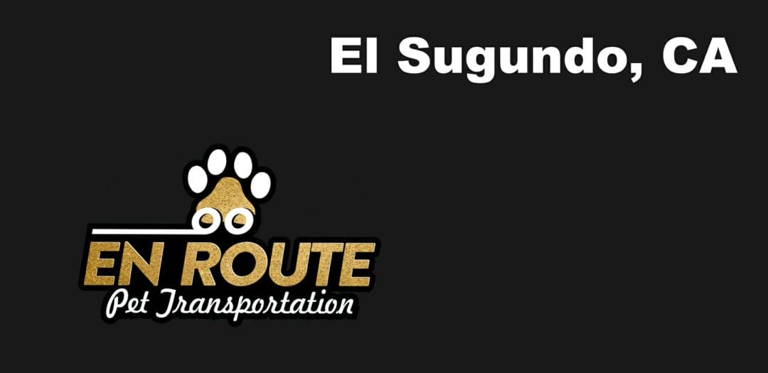 Best VIP private luxury pet ground transportation El Sugundo, California.