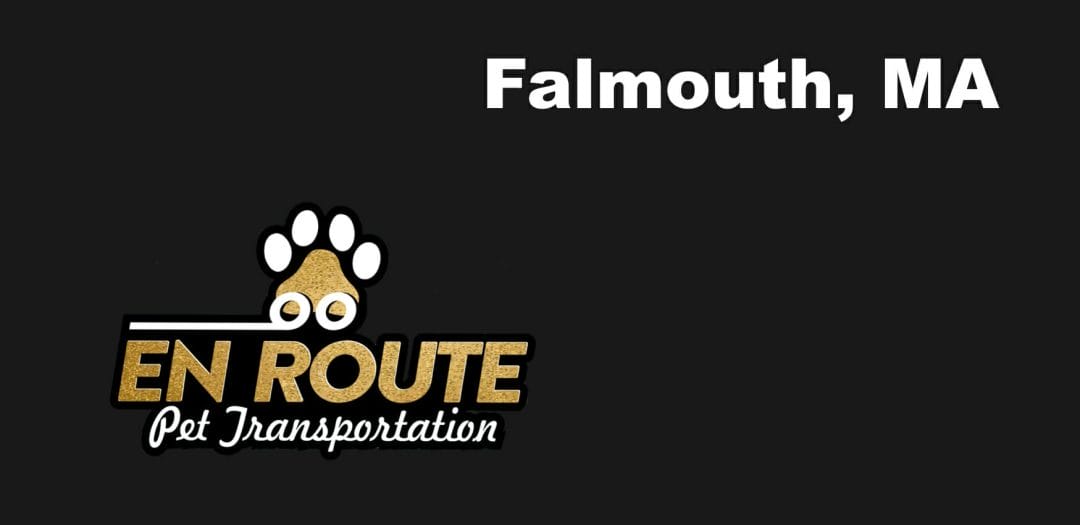 Best VIP private luxury pet ground transportation Falmouth, MA.
