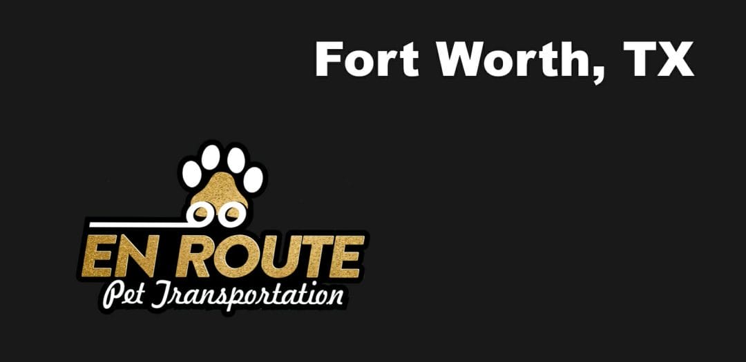 Best private pet ground transportation Fort Worth, TX.