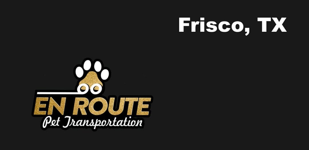 Best private pet ground transportation Frisco, TX.