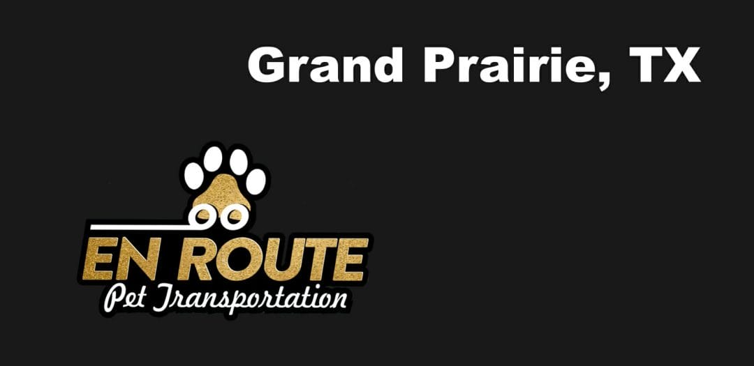 Best private pet ground transportation Grand Prairie, TX.