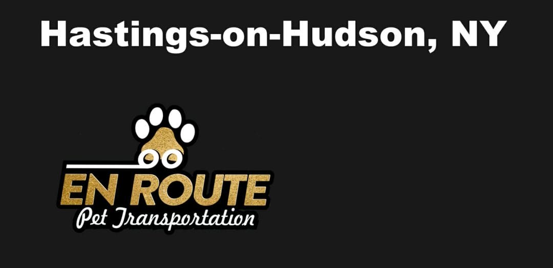Best VIP private luxury pet ground transportation Hastings-on-Hudson, NY.