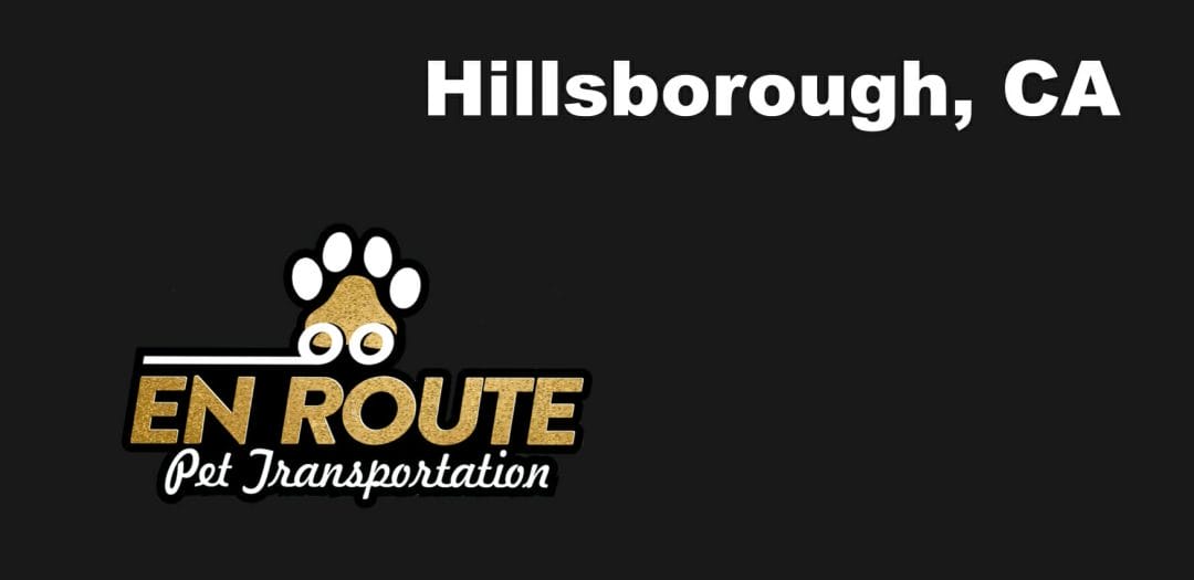 Best VIP private luxury pet ground transportation Hillsborough, California.