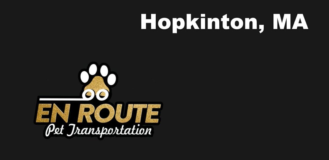 Best VIP private luxury pet ground transportation Hopkinton, MA.