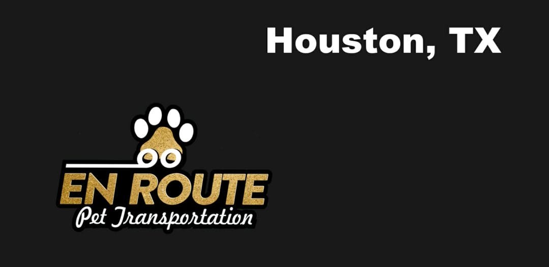 Best private pet ground transportation Houston, TX.