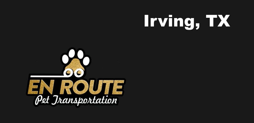 Best private pet ground transportation Irving, TX.