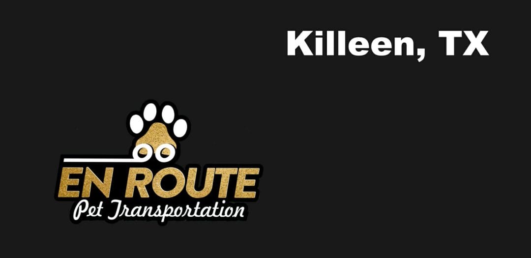 Best private pet ground transportation Killeen, TX.