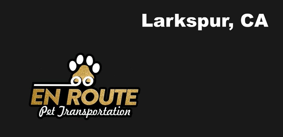 Best VIP private luxury pet ground transportation Larkspur, California.