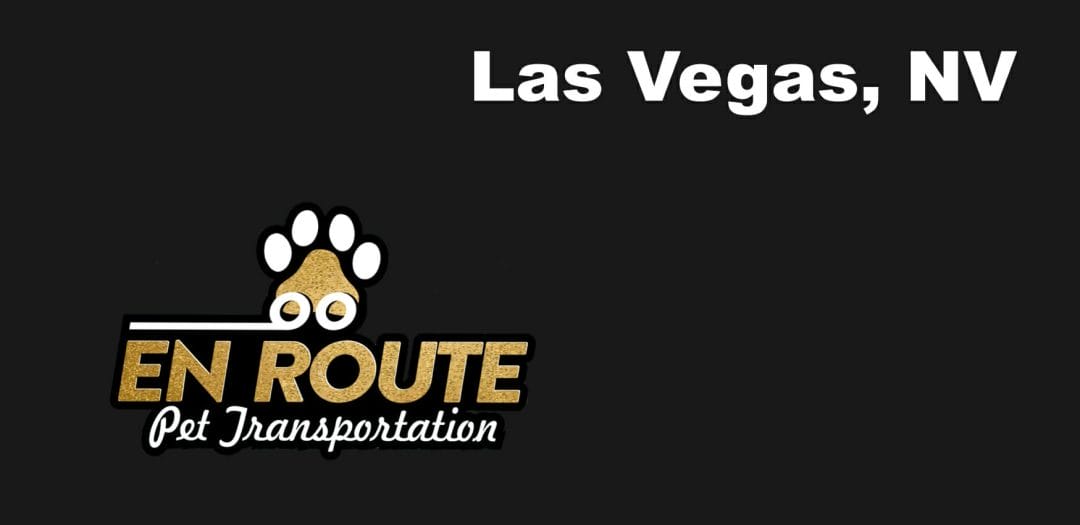 Best private pet ground transportation Las Vegas, NV.