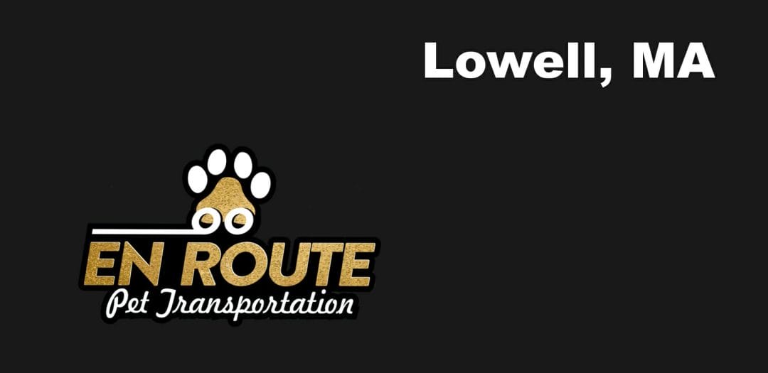 Best VIP private luxury pet ground transportation Lowell, MA.