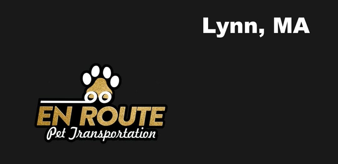 Best VIP private luxury pet ground transportation Lynn, MA.