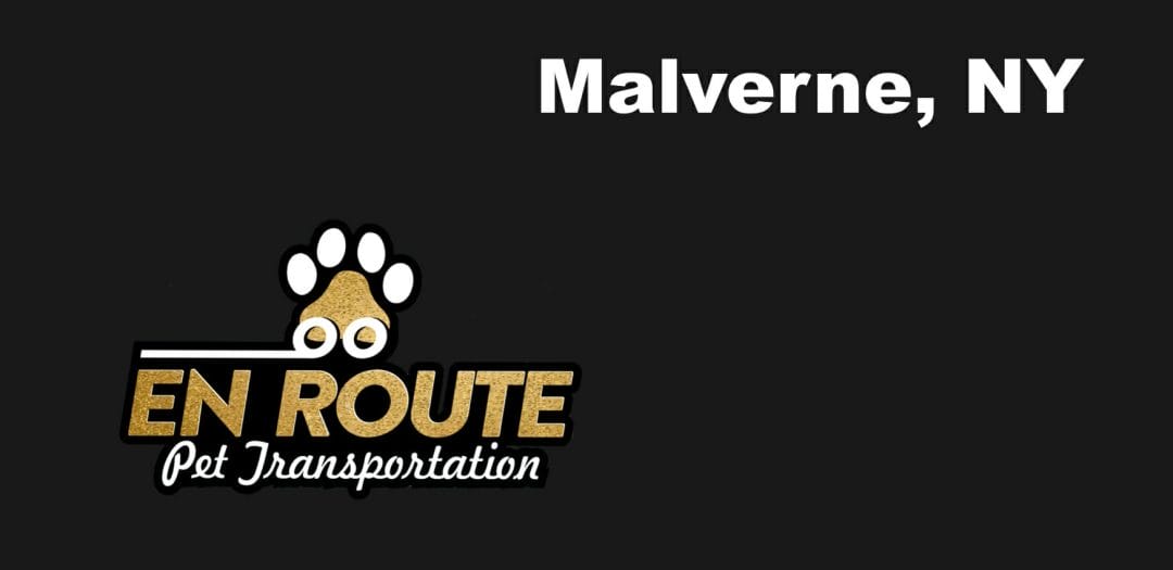 Best VIP private luxury pet ground transportation Malverne, NY.