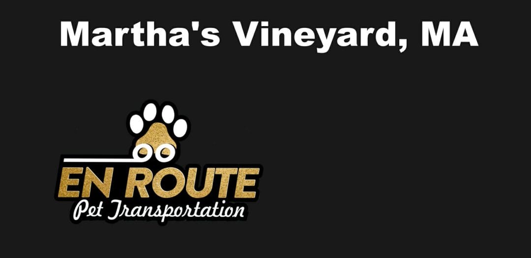 Best VIP private luxury pet ground transportation Martha's Vineyard, MA.