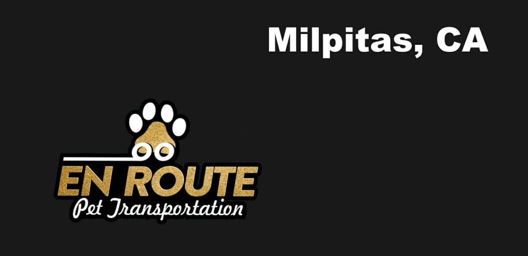 Best VIP private luxury pet ground transportation Milpitas, California.