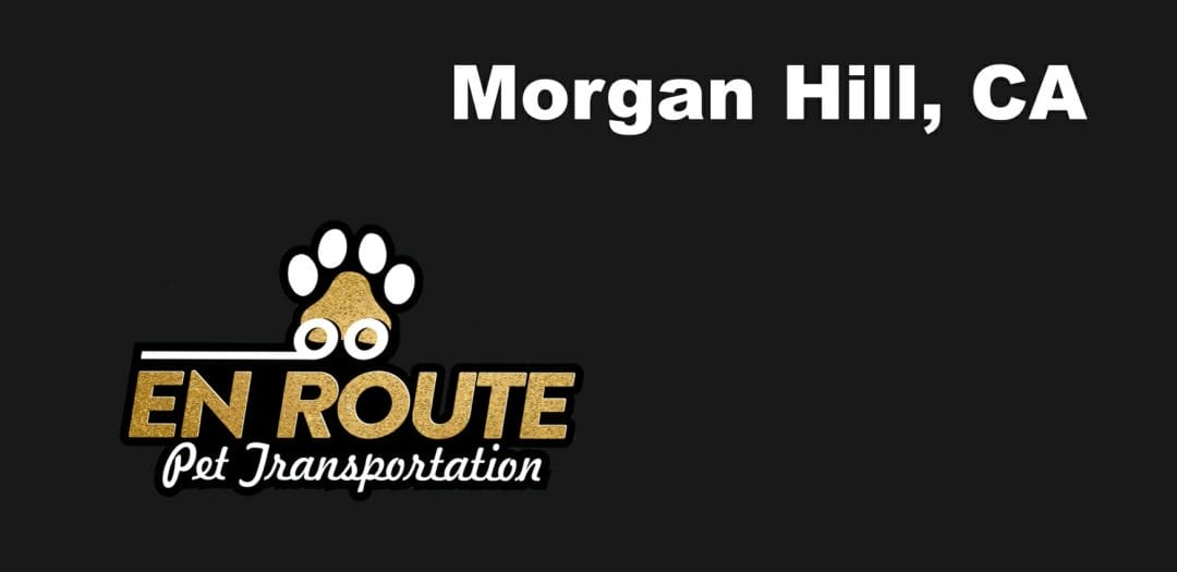 Best VIP private luxury pet ground transportation Morgan Hill, California.