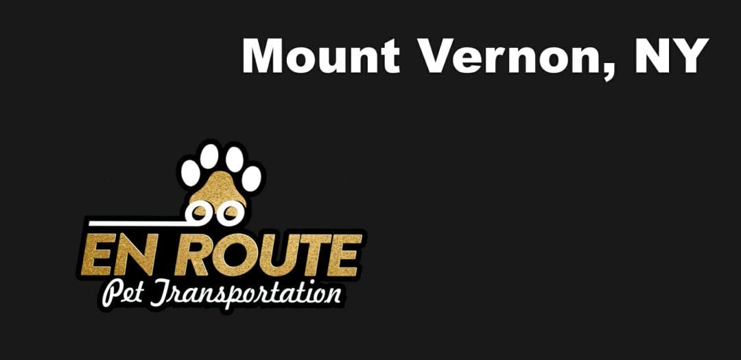 Best VIP private luxury pet ground transportation Mount Vernon, NY.