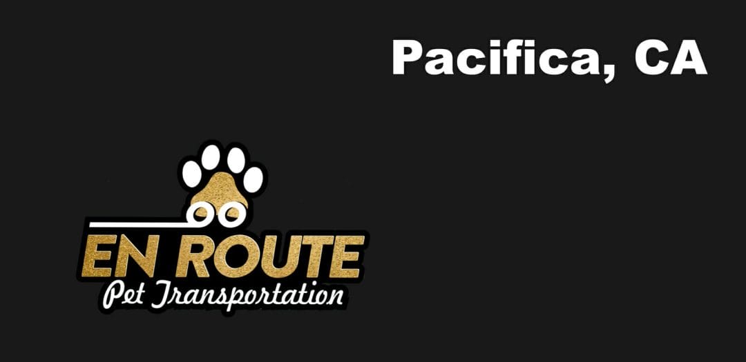 Best VIP private luxury pet ground transportation Pacifica, California.