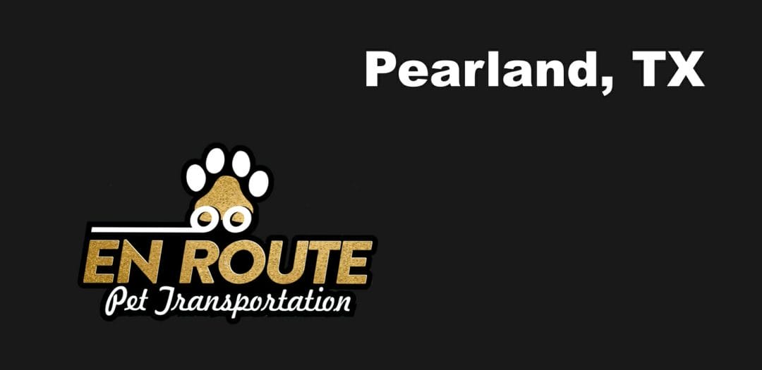 Best private pet ground transportation Pearland, TX.
