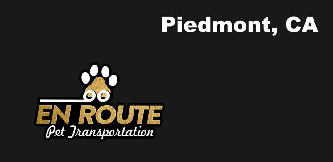 Best VIP private luxury pet ground transportation Piedmont, California.