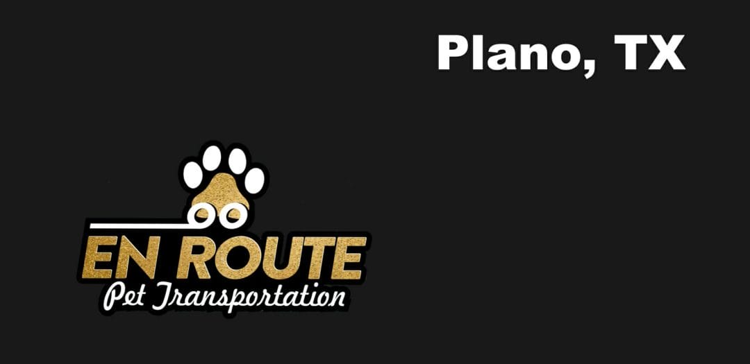 Best private pet ground transportation Plano, TX.