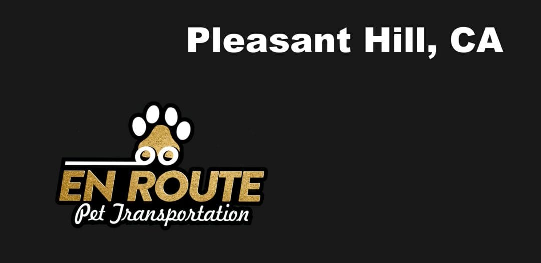 Best VIP private luxury pet ground transportation Pleasant Hill, California.