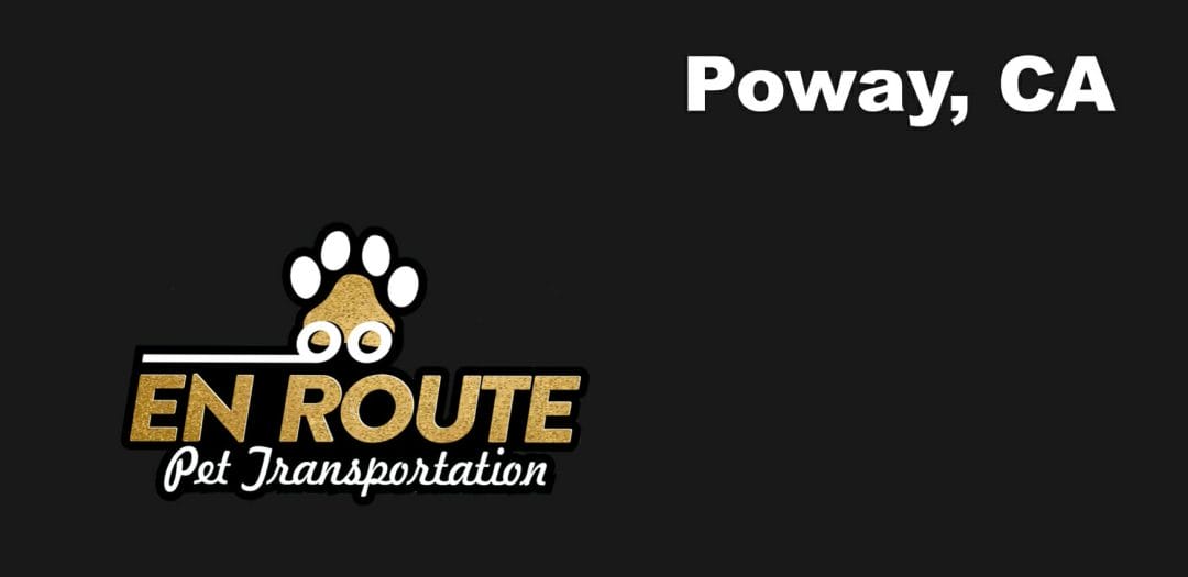 Best VIP private luxury pet ground transportation Poway, California.