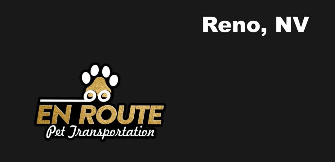 Best private pet ground transportation Reno, NV.