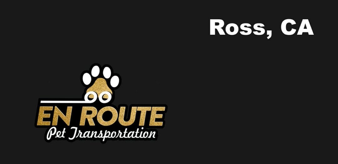 Best VIP private luxury pet ground transportation Ross, California.