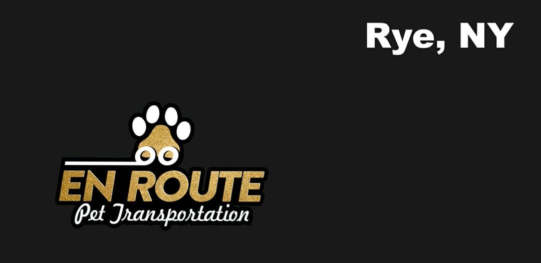 Best VIP private luxury pet ground transportation Rye, NY.