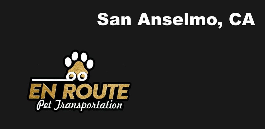 Best VIP private luxury pet ground transportation San Anselmo, California.